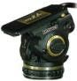 Cartoni testa Gamma